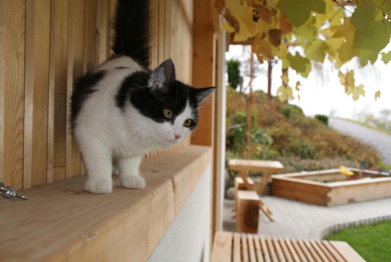 Kleinhofers Himbeernest Bed & Breakfast Anger  Dış mekan fotoğraf